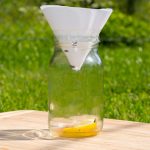 How to Dispose of Fly Traps?