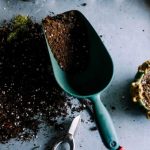 How to Dispose of Potting Soil