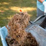How to Dispose of Old Mulch