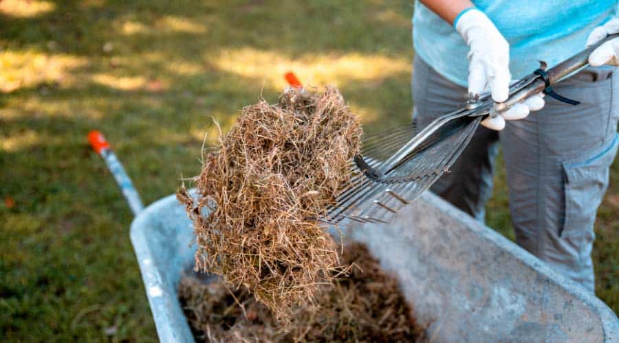 How to Dispose of Old Mulch