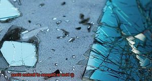 How to Dispose of Broken Glass? - DisposeOfThings.com