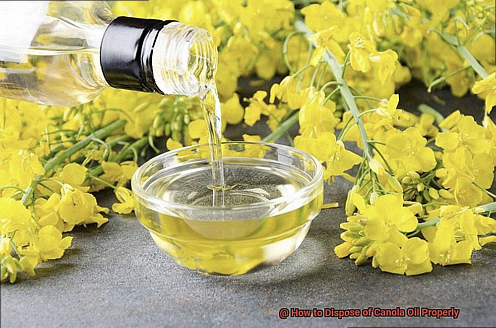 How to Dispose of Canola Oil Properly-3
