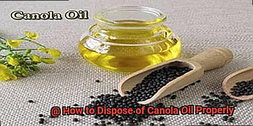 How to Dispose of Canola Oil Properly-4