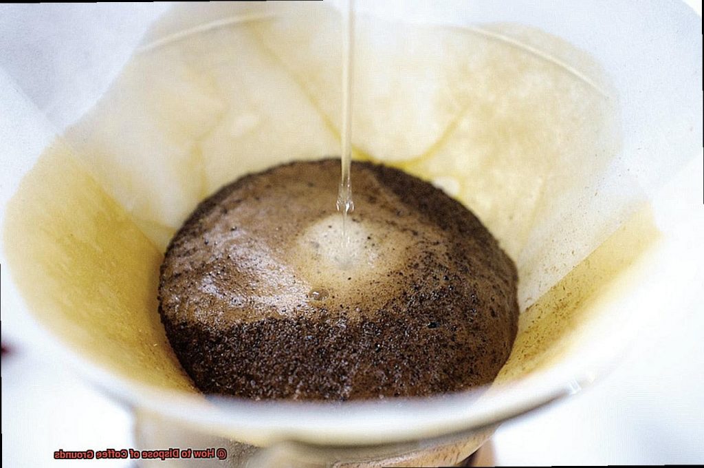 How to Dispose of Coffee Grounds?