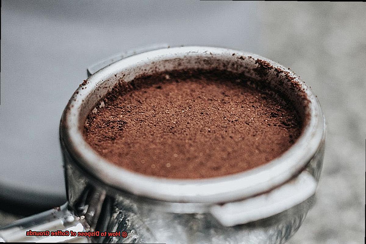 How to Dispose of Coffee Grounds?