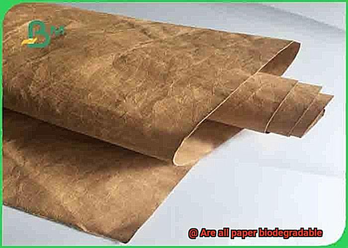 Are all paper biodegradable-3