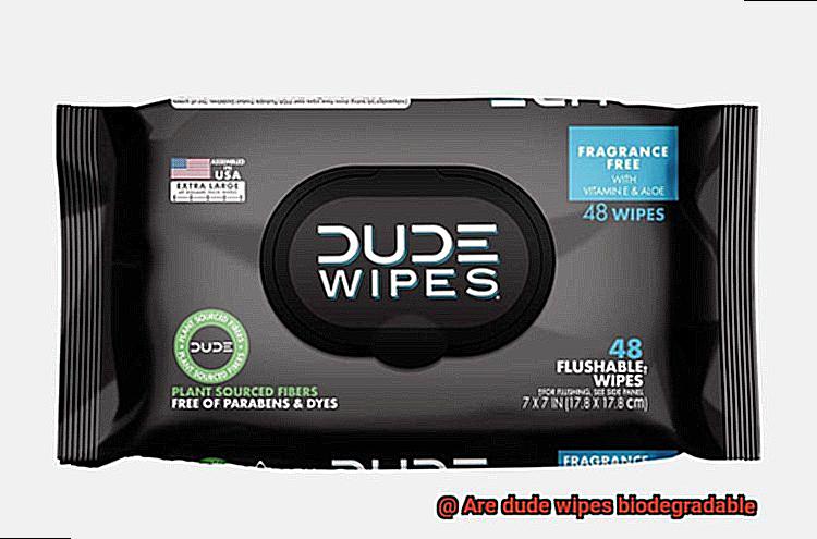 Are dude wipes biodegradable-3
