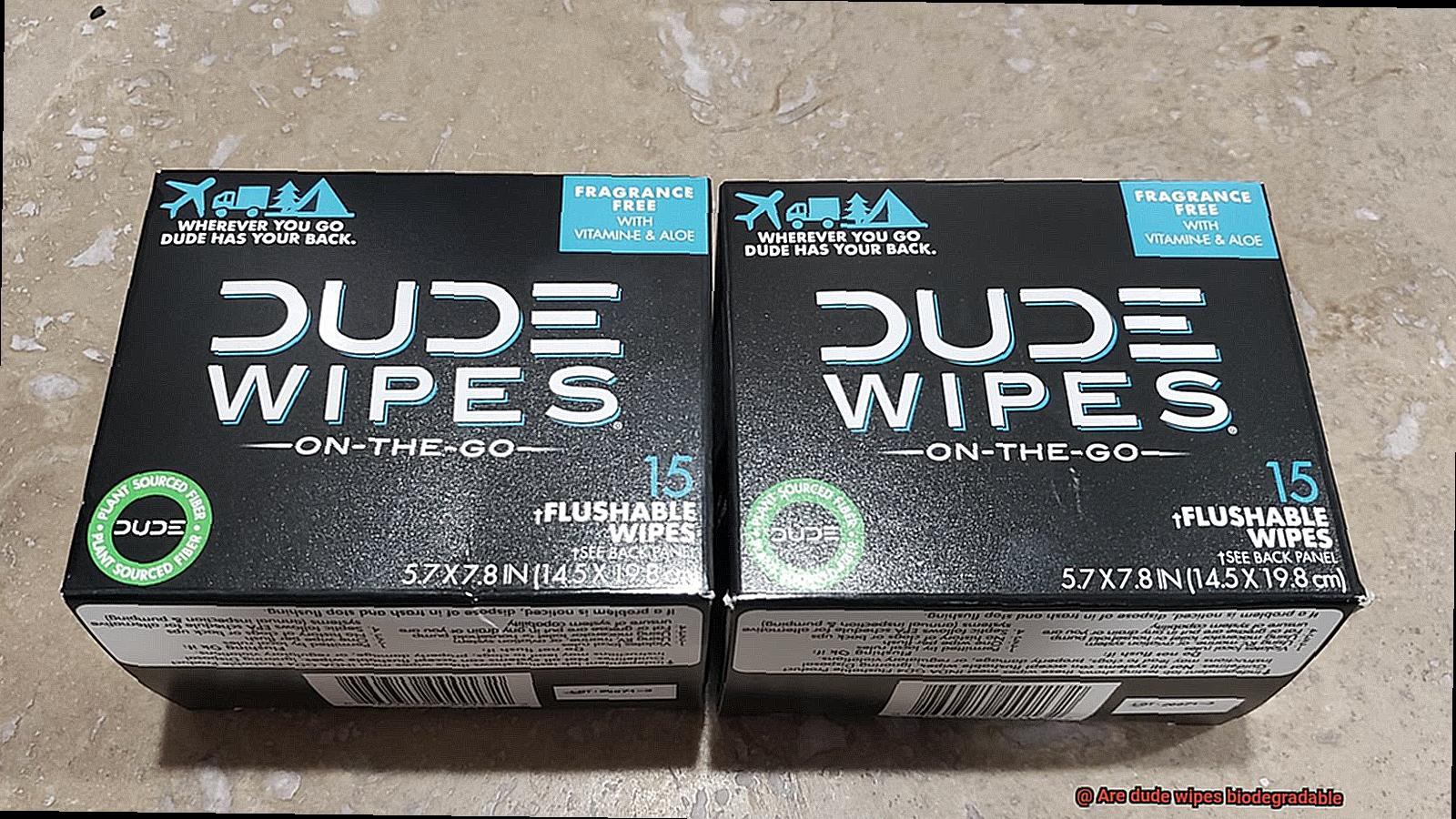 Are dude wipes biodegradable-4