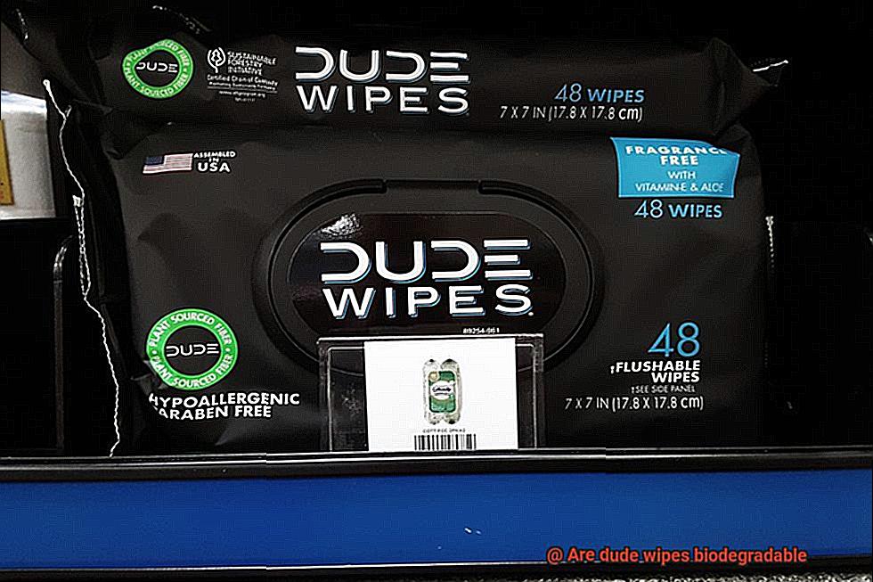 Are dude wipes biodegradable-2