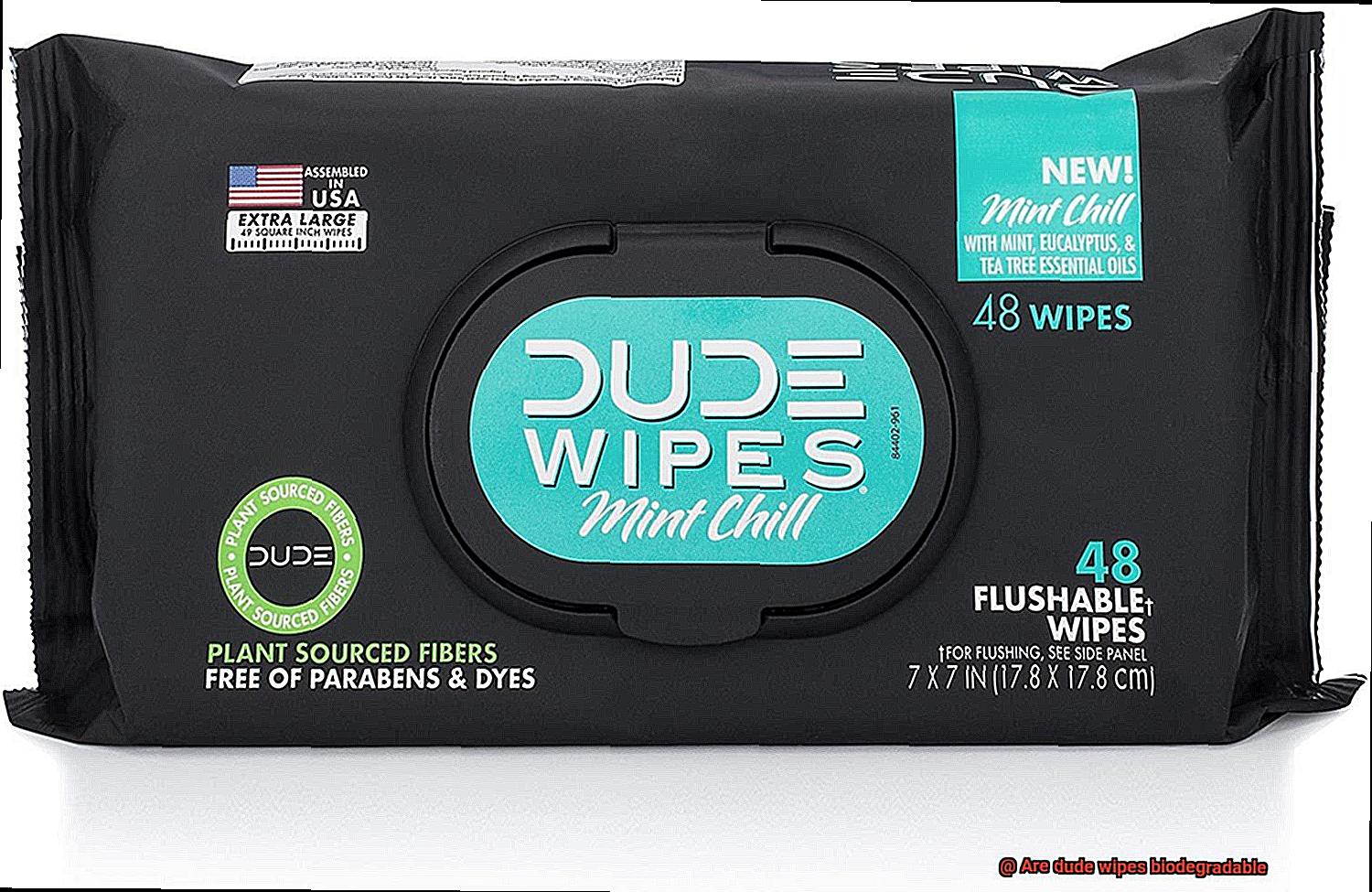 Are dude wipes biodegradable-6