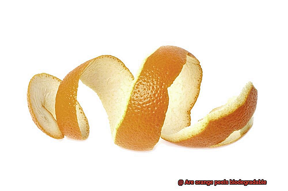 Are orange peels biodegradable-6