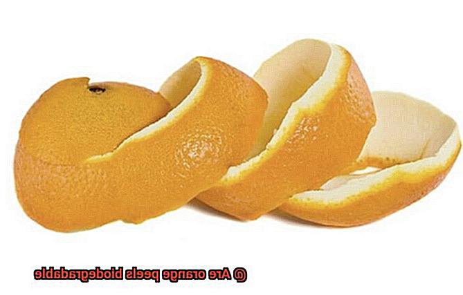 Are orange peels biodegradable-3