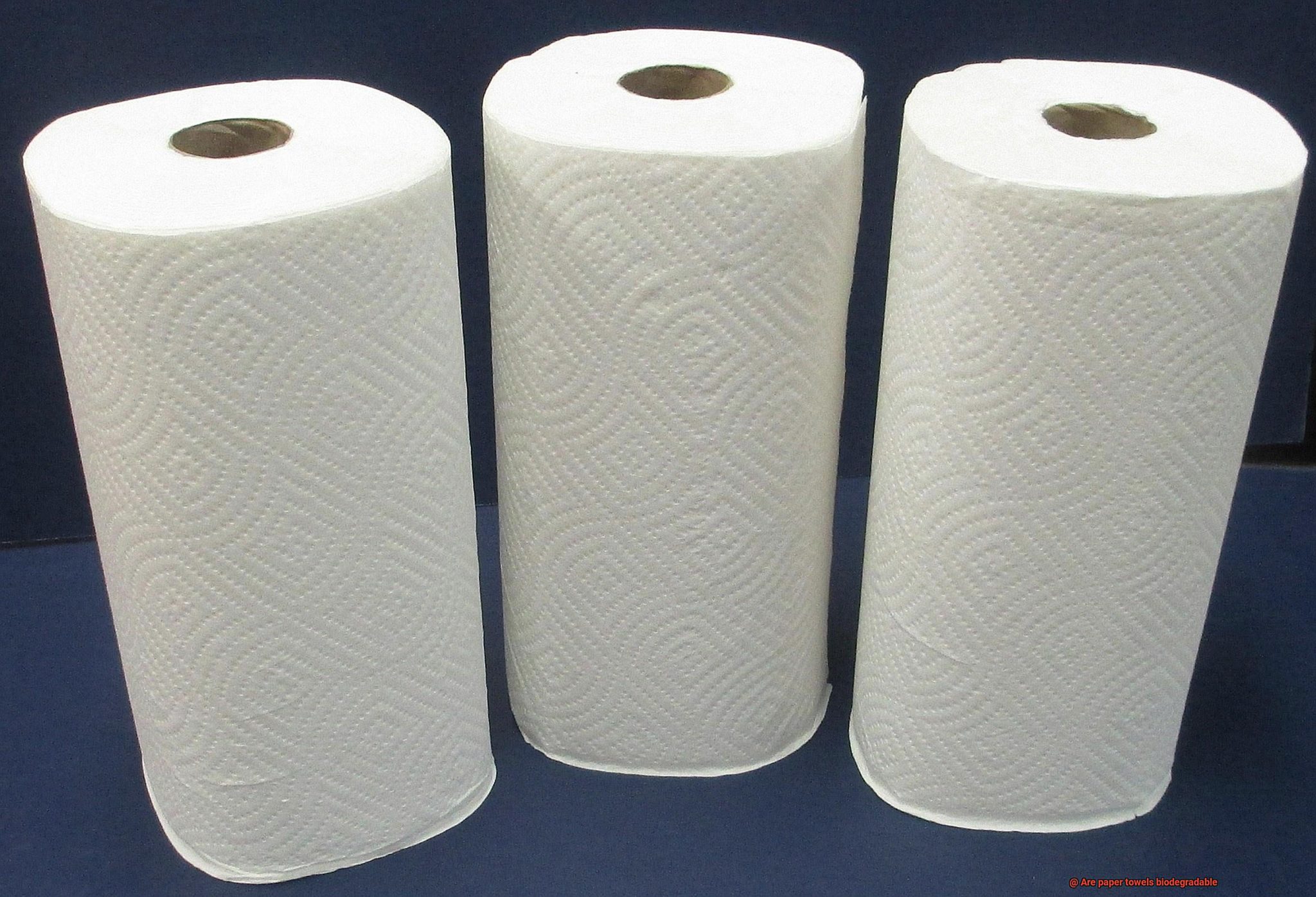 Are paper towels biodegradable?