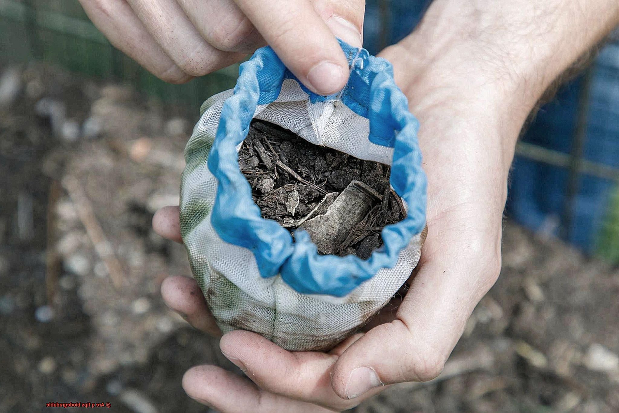 Are q tips biodegradable?
