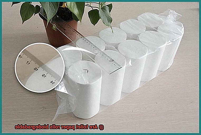 Are toilet paper rolls biodegradable-2