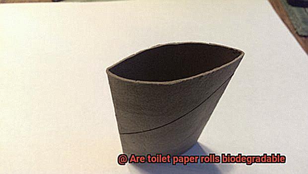 Are toilet paper rolls biodegradable-4