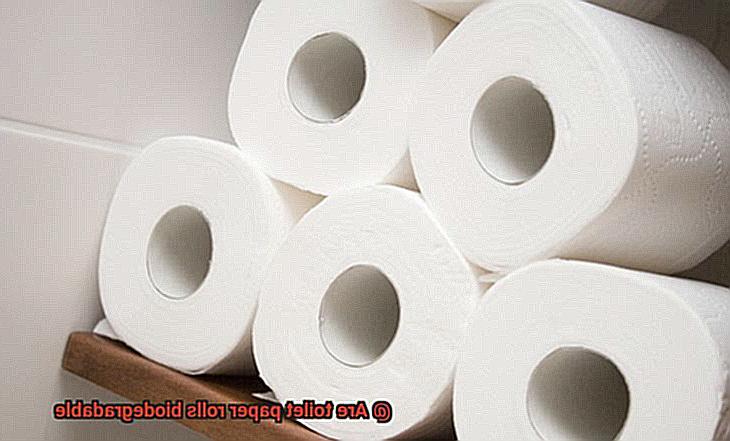 Are toilet paper rolls biodegradable-3