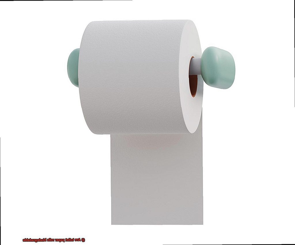 Are toilet paper rolls biodegradable?