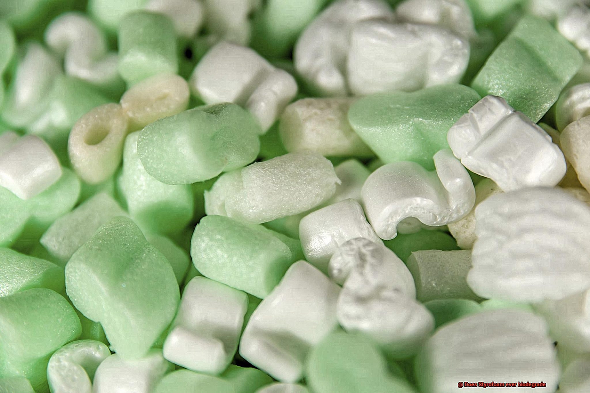 Does Styrofoam ever biodegrade?