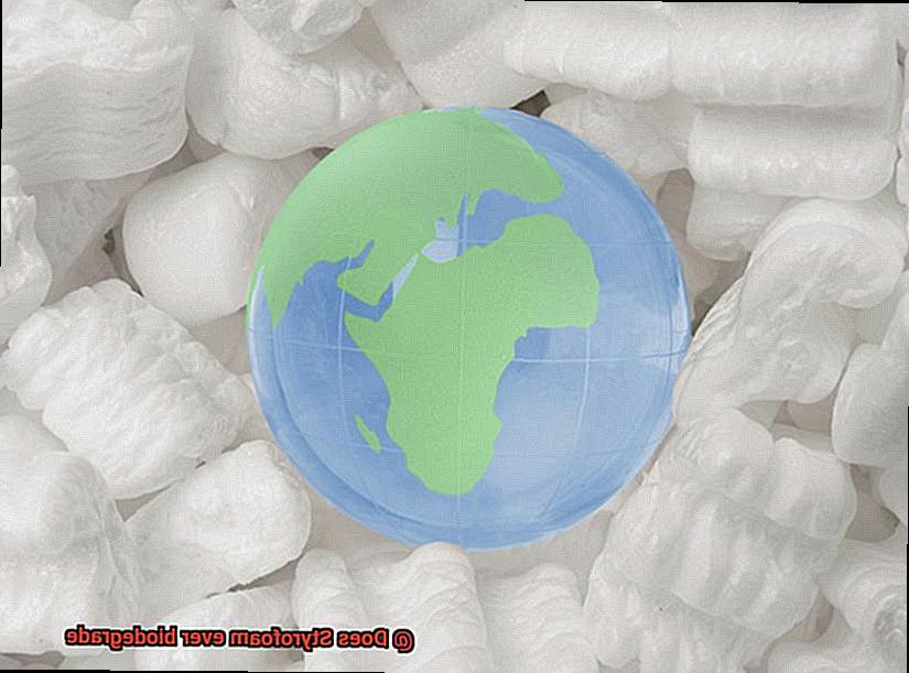 Does Styrofoam ever biodegrade-4