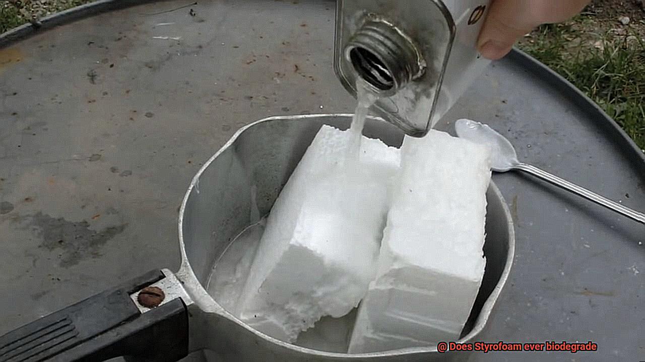 Does Styrofoam ever biodegrade-2