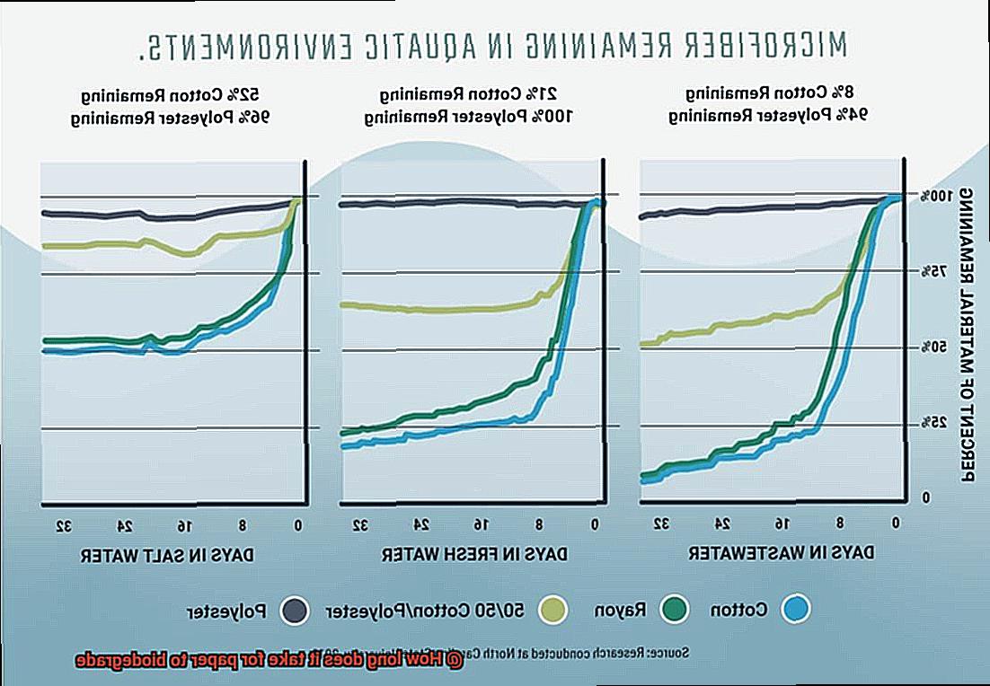 How long does it take for paper to biodegrade-2