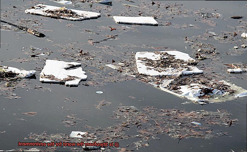 Is Styrofoam the worst for the environment-5