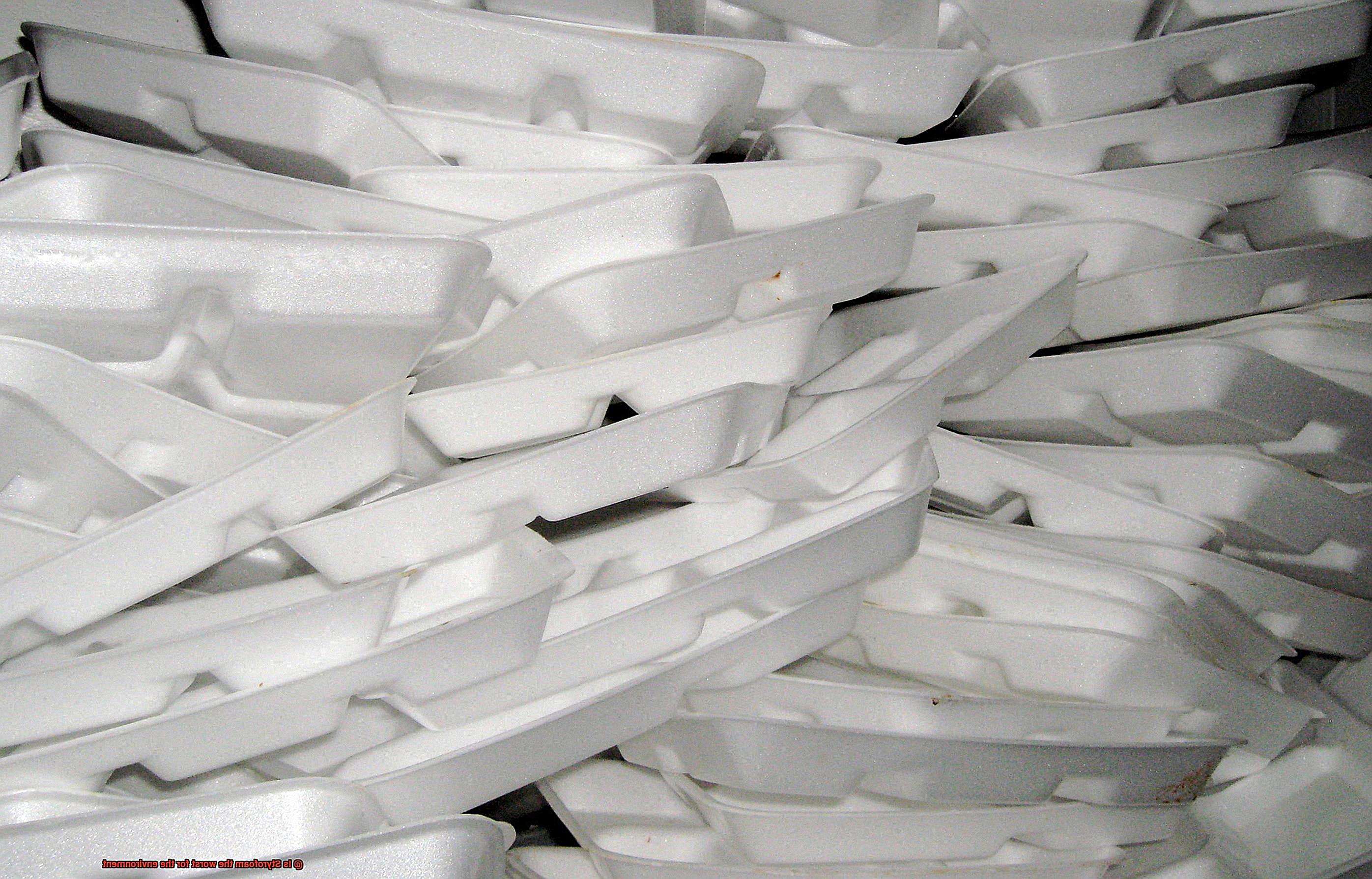 Is Styrofoam the worst for the environment-2