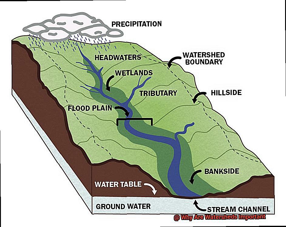 Why Are Watersheds Important-3