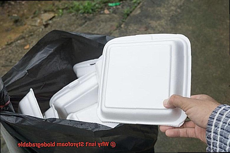 Why isn't Styrofoam biodegradable-4