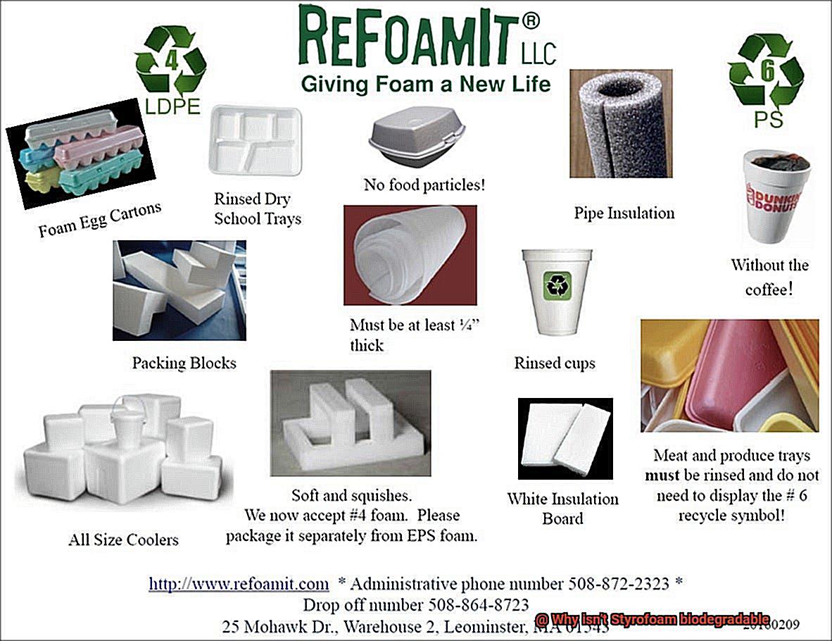 Why isn't Styrofoam biodegradable-2