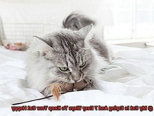 Where Can I Dispose Of Smoke Detectors Near Me? DisposeOfThings com Where Can I Dispose Of Smoke Detectors Near Me? DisposeOfThings com
